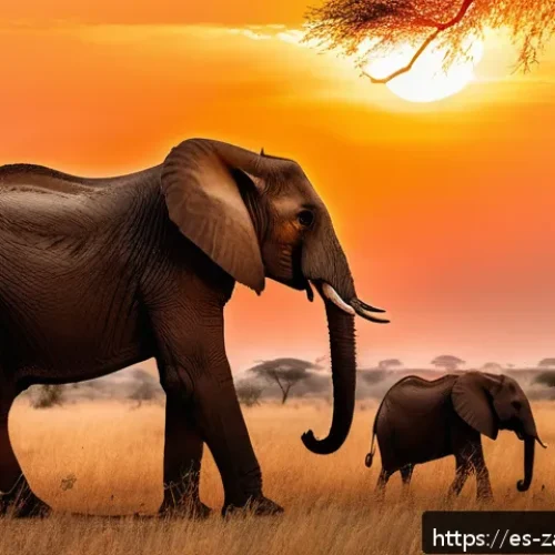 잠비아 호텔 및 숙박 정보 - A luxurious safari lodge set in the vast Zambian savanna at golden hour, showcasing eco-friendly arc...